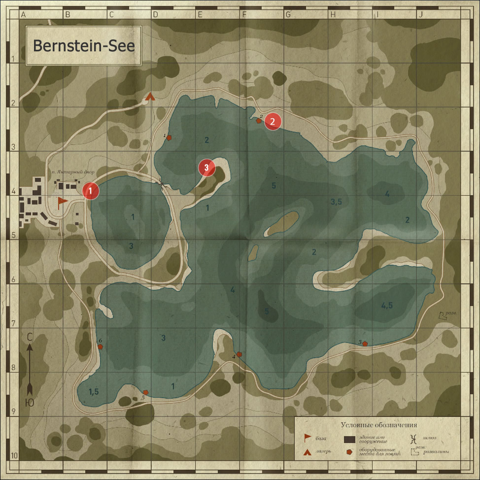 Bernstein-See Image